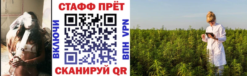 Где можно купить наркотики Курлово Метадон  СОЛЬ  Меф  Канабис  Гашиш 
