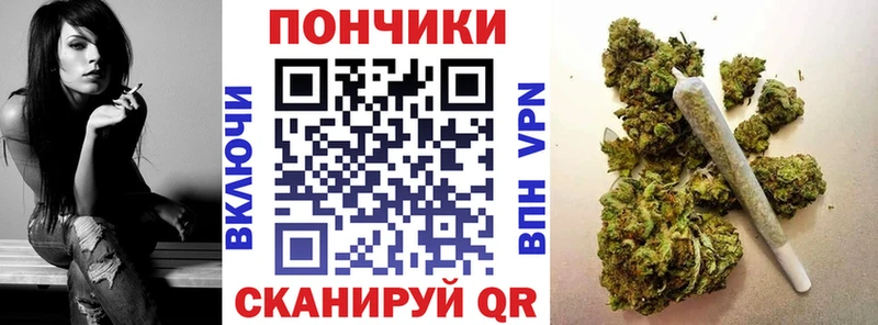 сколько стоит  Курлово  Бошки Шишки SATIVA & INDICA 